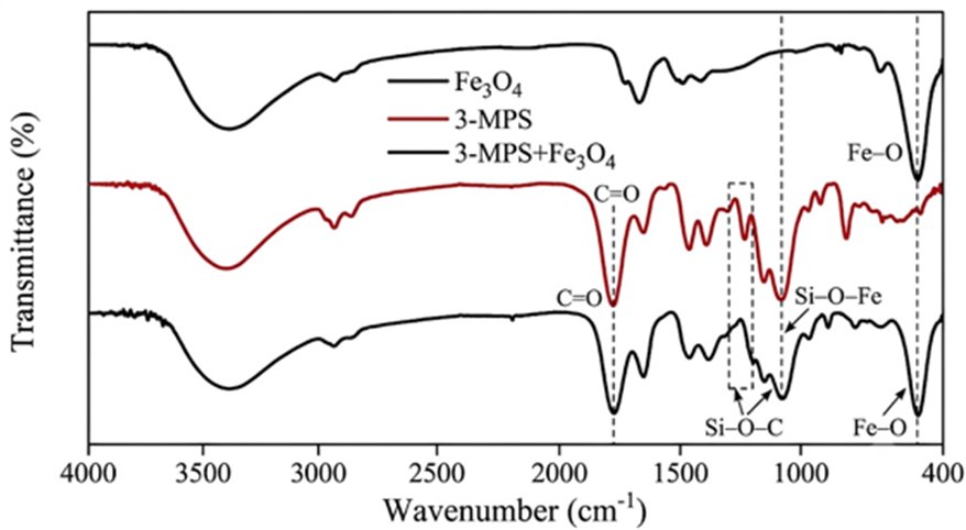 FTIR spectra of Fe3O4, 3-MPS, and 3-MPS functionalized Fe3O4